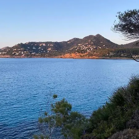 Apartment Sea 1a With Pool, 2 Min Canyamel Capdepera (Mallorca)